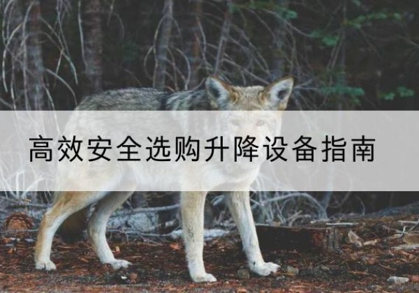 阳高升降货梯厂家推荐-*安全选购升降设备指南
