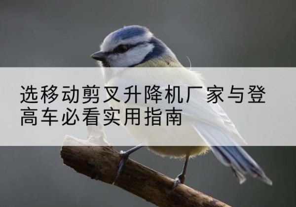 阳高电动升降机厂家-选移动剪叉升降机厂家与登高车必看实用指南