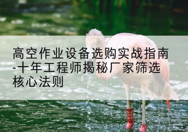 阳高剪叉式升降机厂家-高空作业设备选购实战指南-十年工程师揭秘厂家筛选核心法则