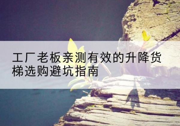 阳高升降货梯怎么选-工厂老板亲测有效的升降货梯选购避坑指南
